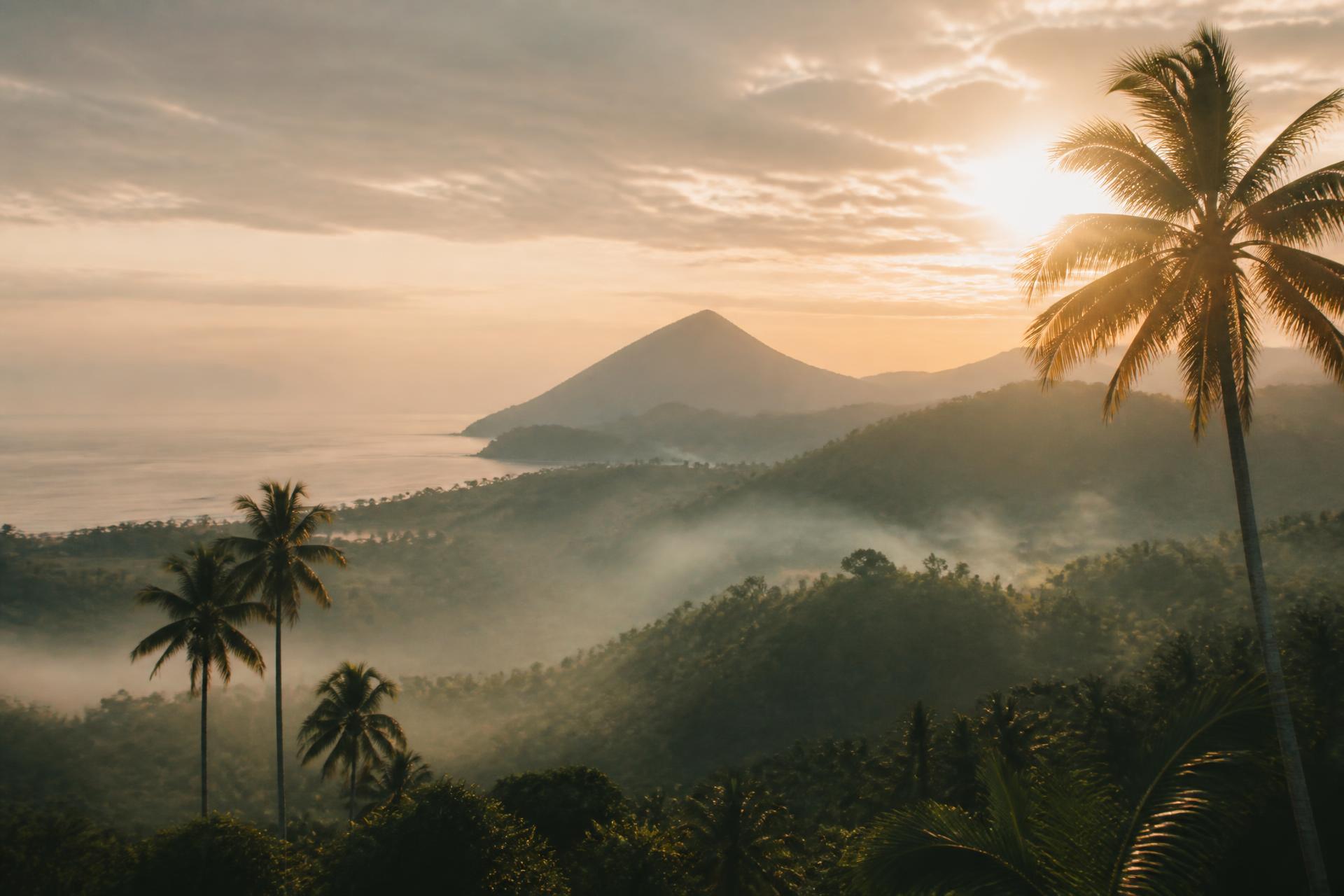 Zonsopkomst boven de bergen en palmbomen van Lombok
